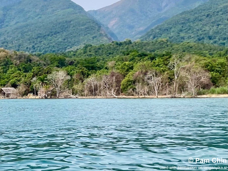 Mahale Mountains National Park 03